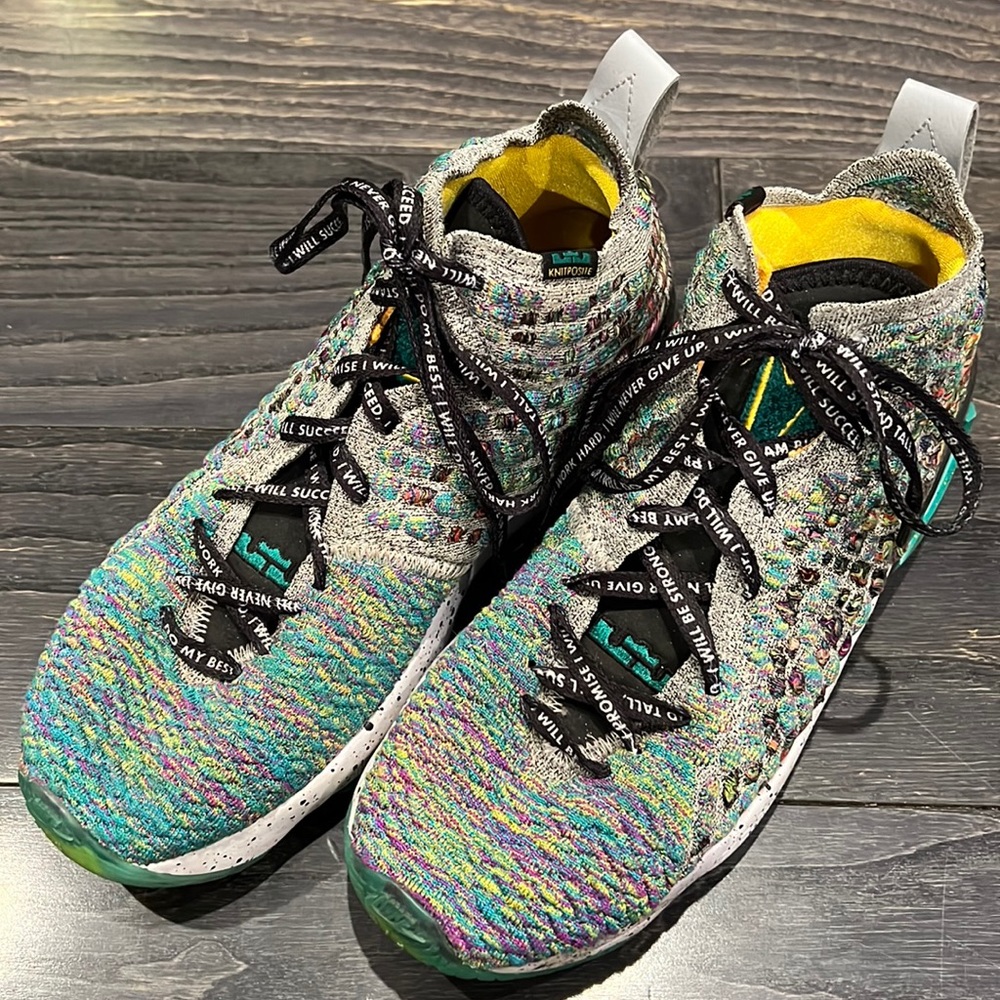 Nike LeBron Knitposite multicolor